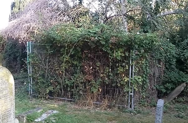 Norman grave protected